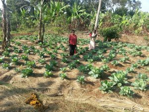 2_Garden2