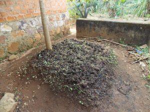 4_Garden2