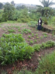 7_Garden2